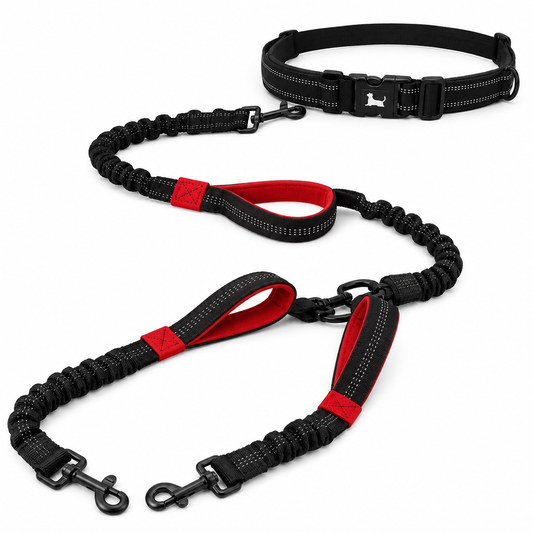 Hands-Free Double Dog Leash – No Tangle Dual Leash for Two Large Dogs