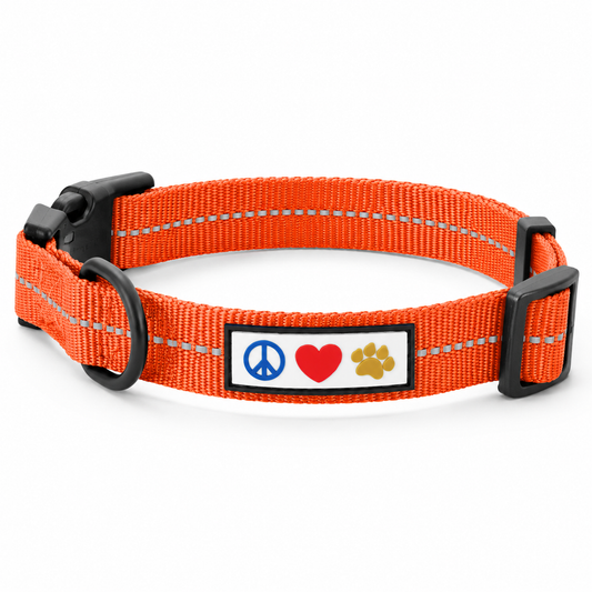Recycled Dog Collar with Reflective Puppy Collar Small Coral