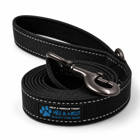 Reflective Nylon Dog Leash – Durable Black Leash for Small Dogs