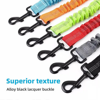 Dual Dog Leash, 360° Swivel Striped Pet Leash with Tangle-Free Design, Detachable Feature, Comfortable Grip for 2 Dogs’ Walking & Training, Arm Relief,Summervibes